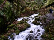 Waukeena Mult Falls 11.26.05 021 